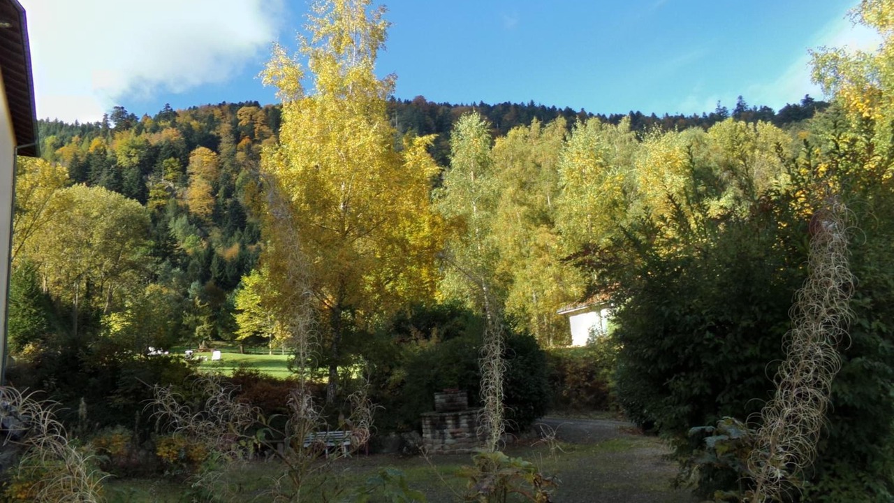 Photo of Outdoor in Murbach