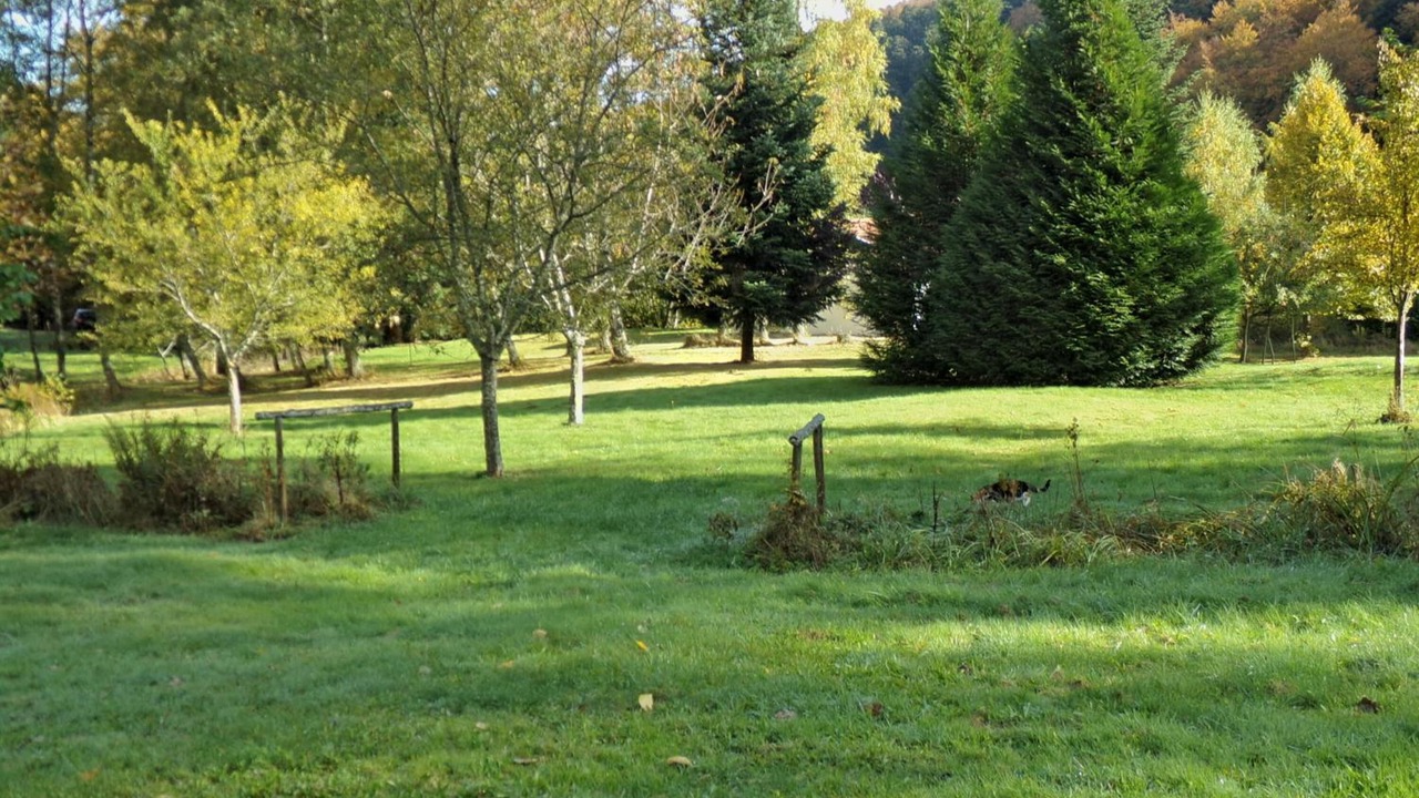 Photo of Outdoor in Murbach