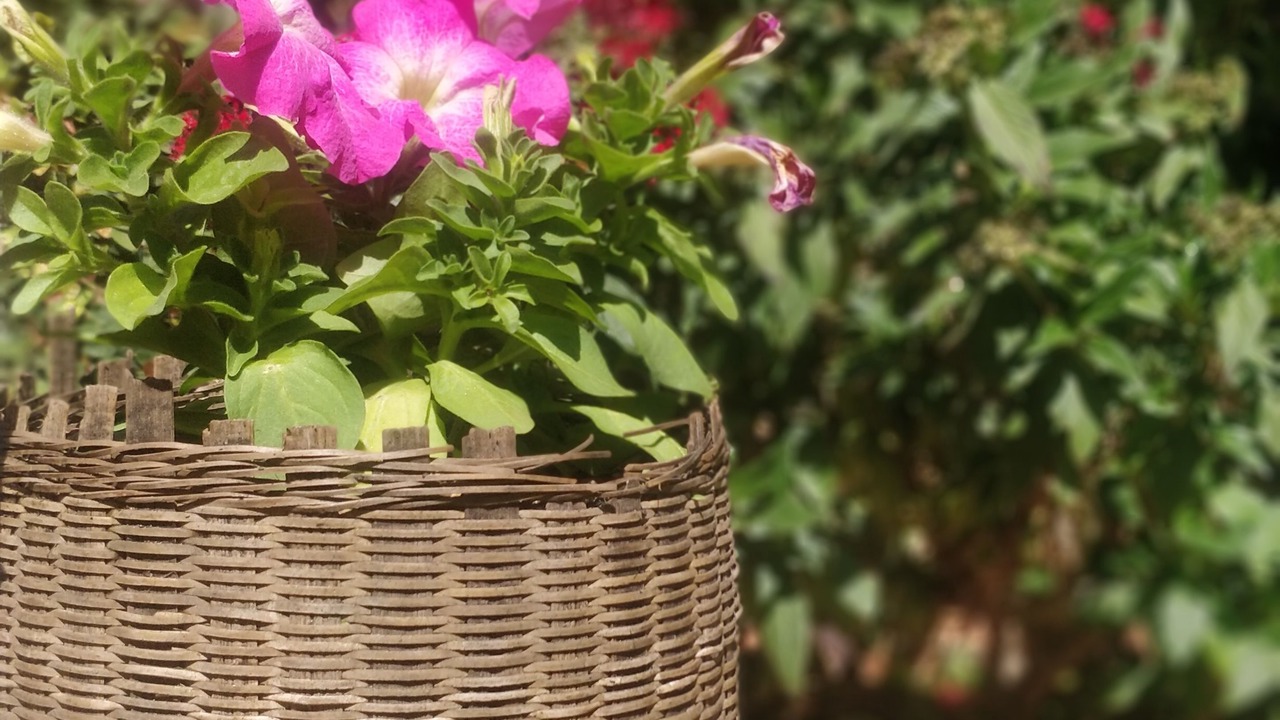 Photo of Outdoor in Kalaw