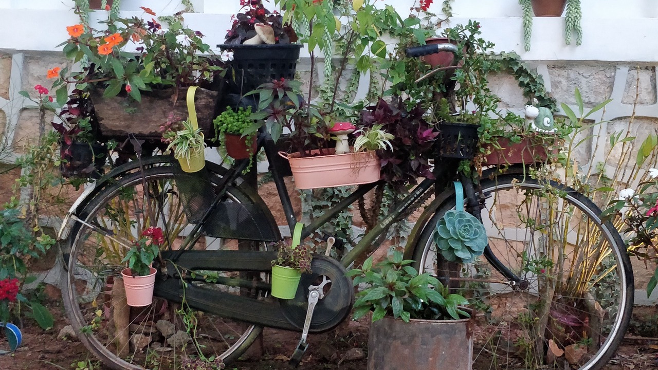 Photo of Outdoor in Kalaw