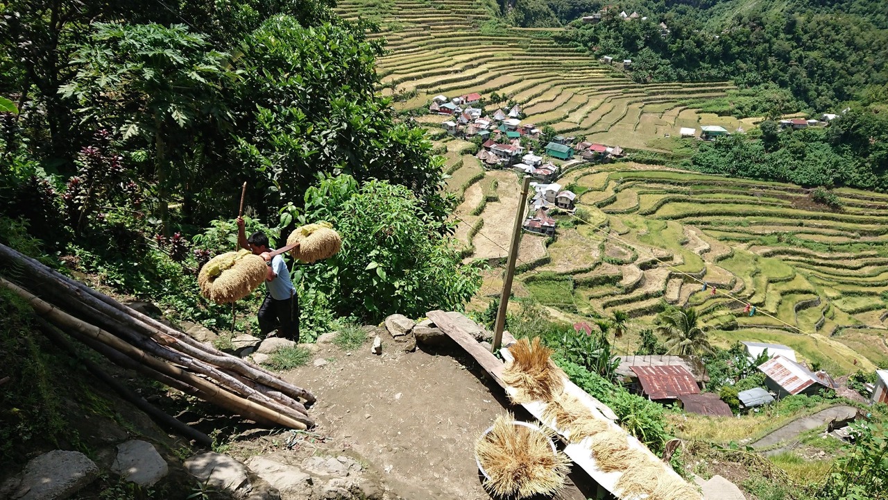 Photo of Others in Batad