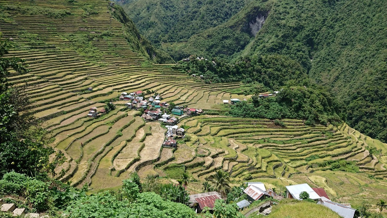 Photo of Others in Batad