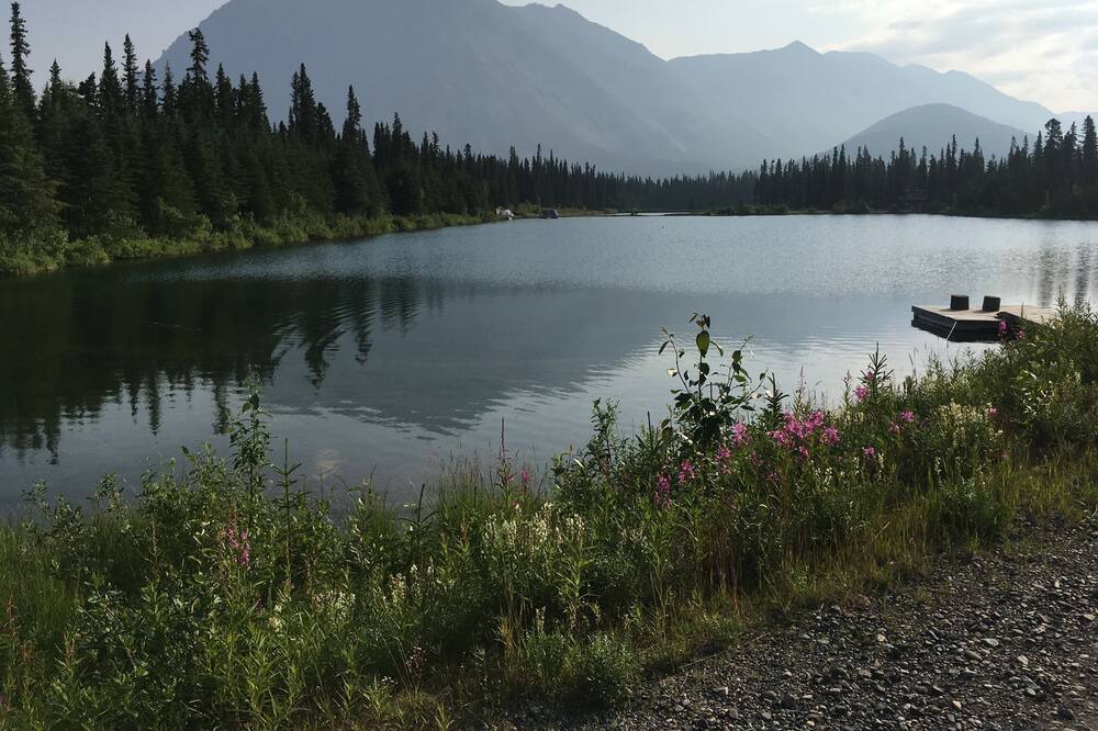 Photo of Others in Denali