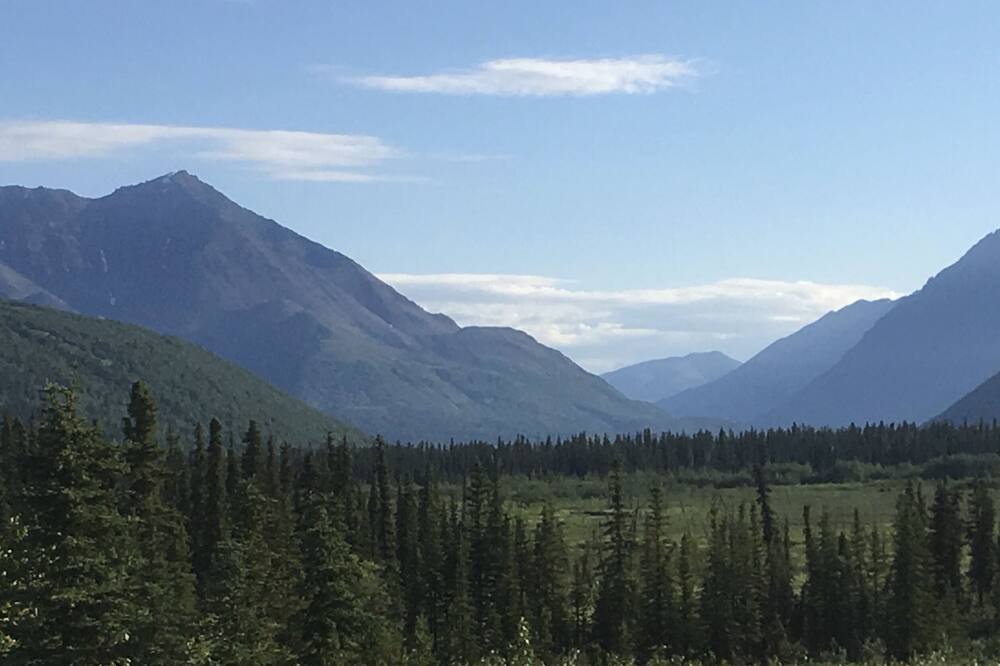 Photo of Others in Denali