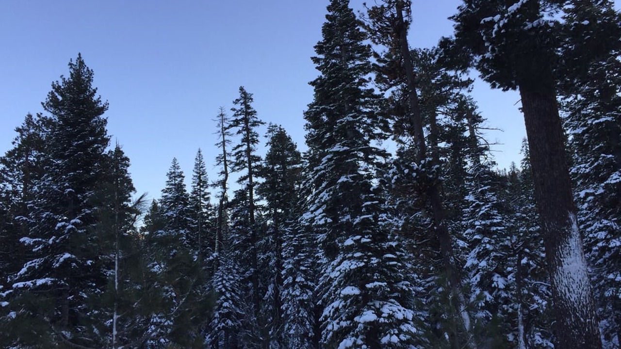 Photo of Outdoor in Lower Kingsbury