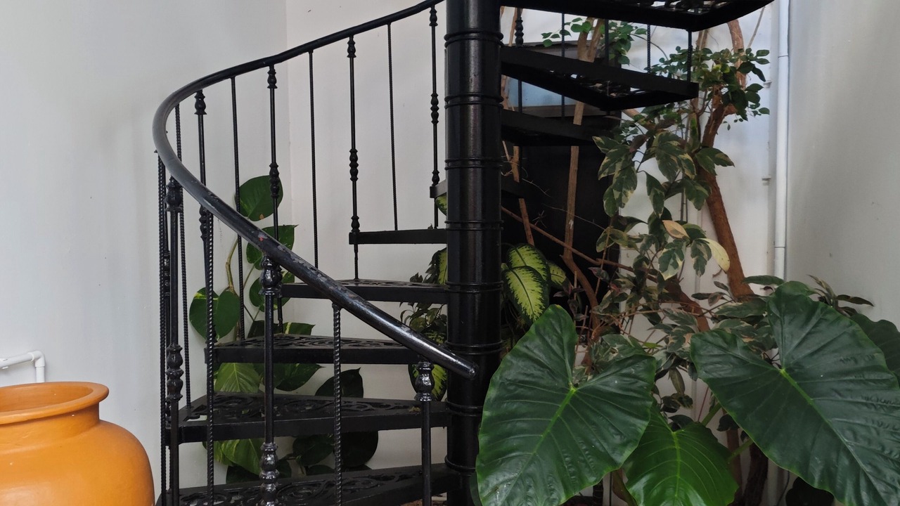 Photo of Outdoor in Port Louis