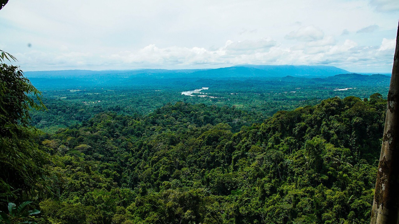 Photo of Outdoor in Ahuano