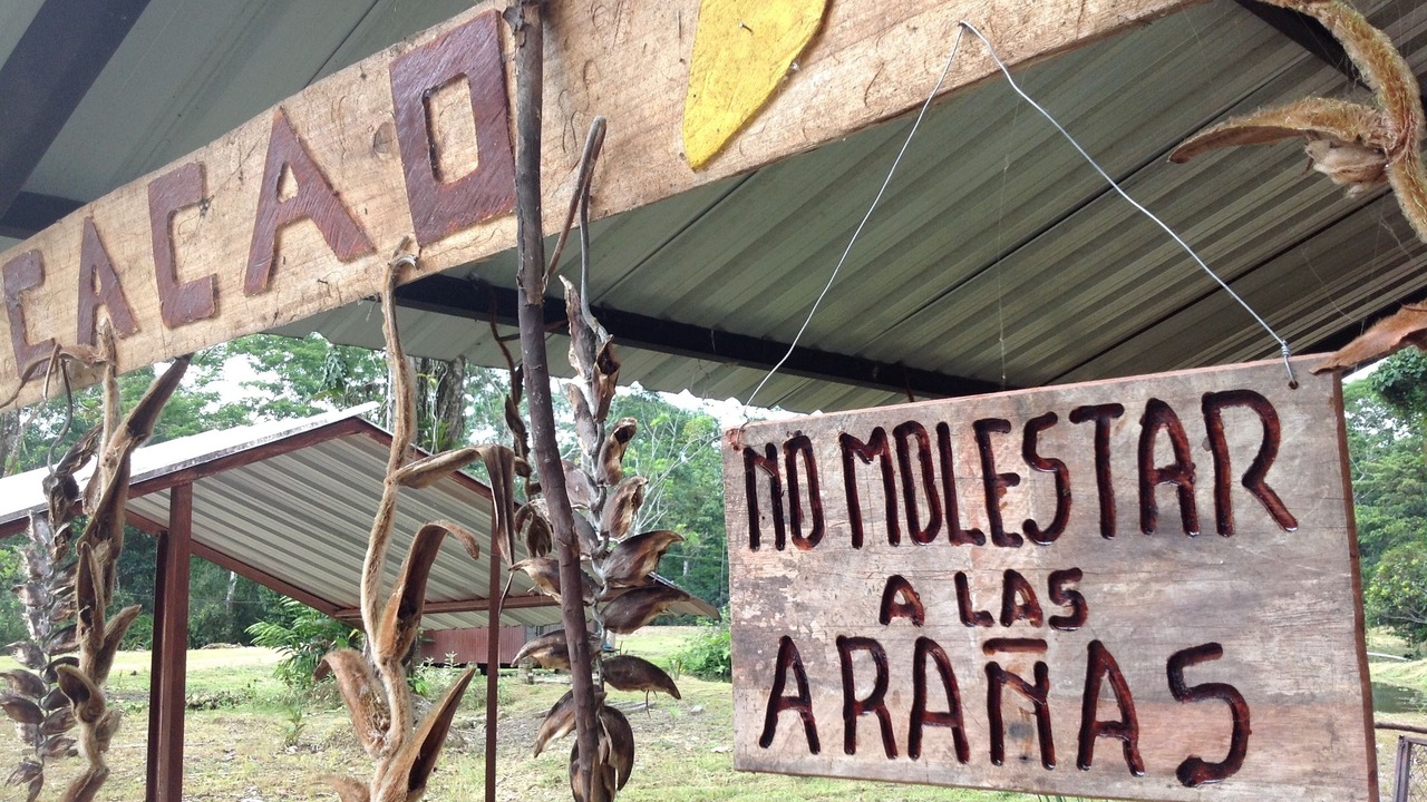 Photo of Outdoor in Ahuano