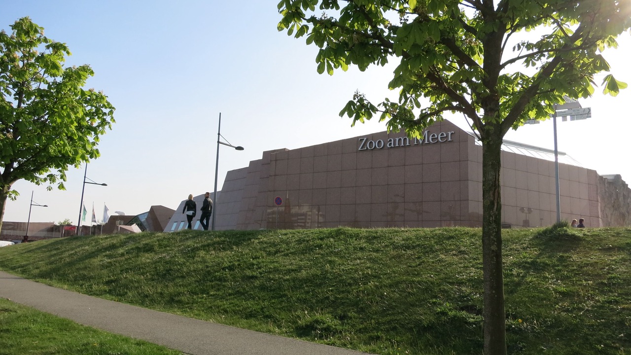 Photo of Others in Mitte-Sud