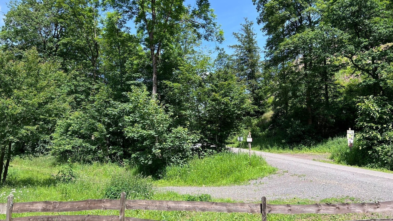 Photo of Outdoor in Bad Sachsa