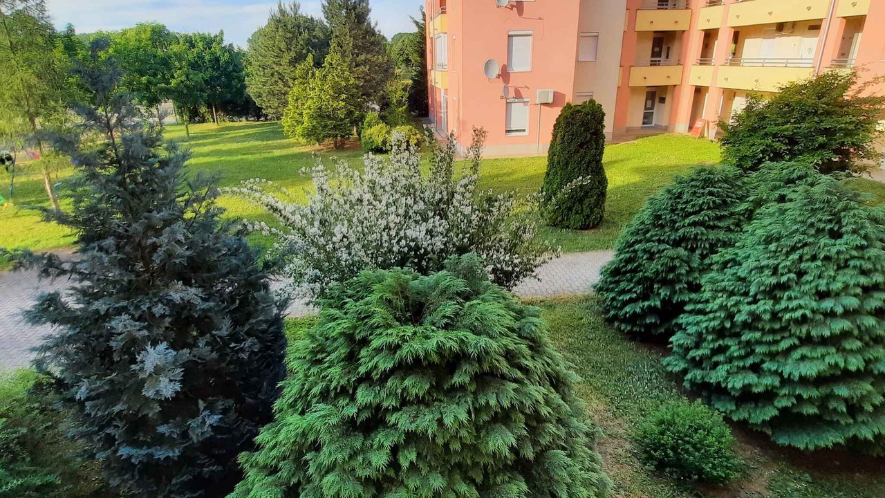 Photo of Outdoor in Bukfurdo