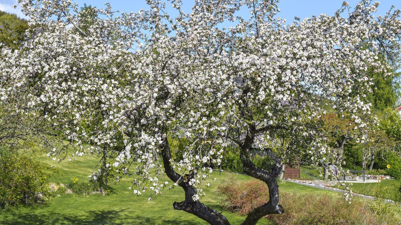 Photo of Outdoor in Hurum