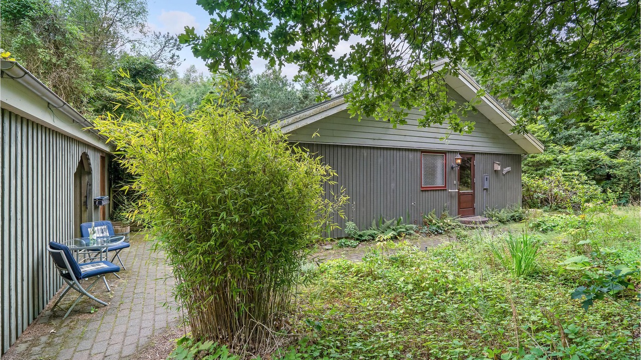 Photo of Outdoor in Skovgaarde
