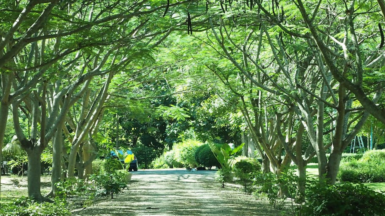 Photo of Outdoor in Phaya Yen