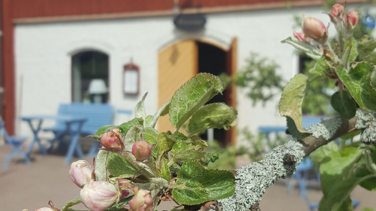 Photo of Outdoor in Torsby