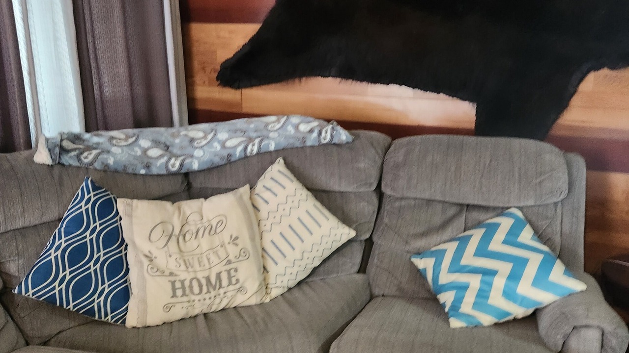 Photo of Livingroom in Questa Woods