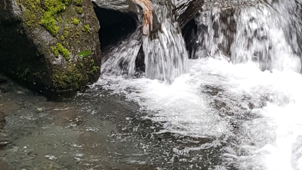 Photo of Outdoor in Questa Woods
