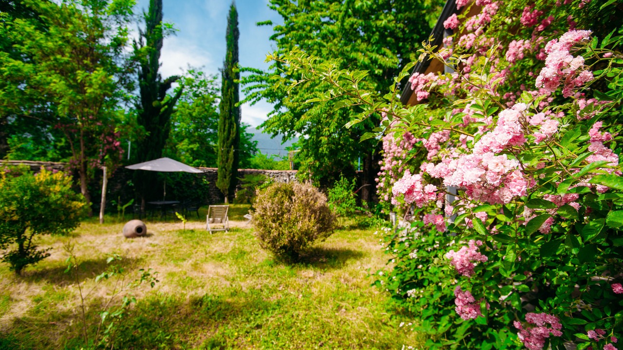 Photo of Outdoor in Eniseli
