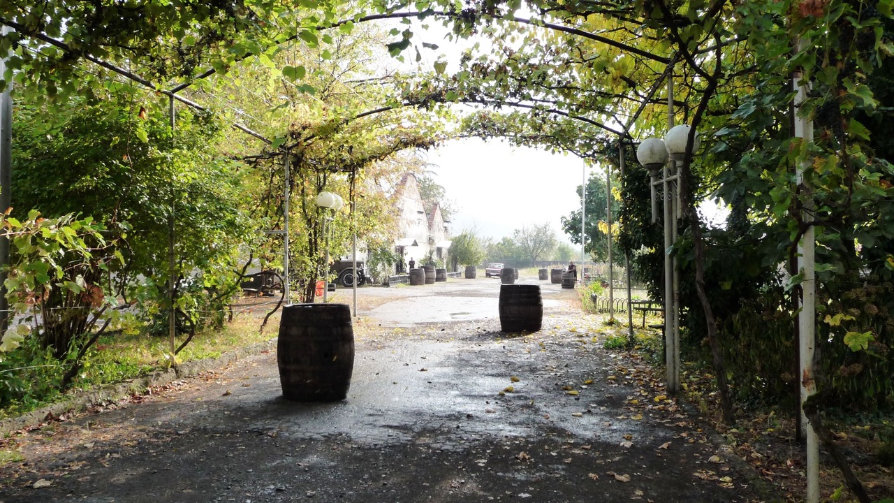 Photo of Others in Eniseli