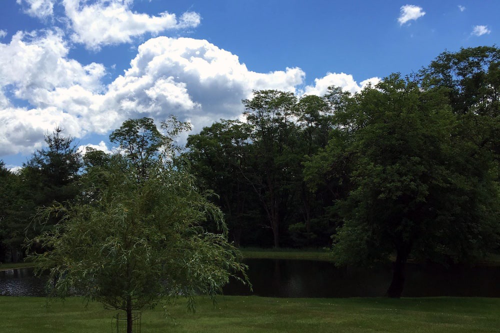 Photo of Outdoor in Brackney