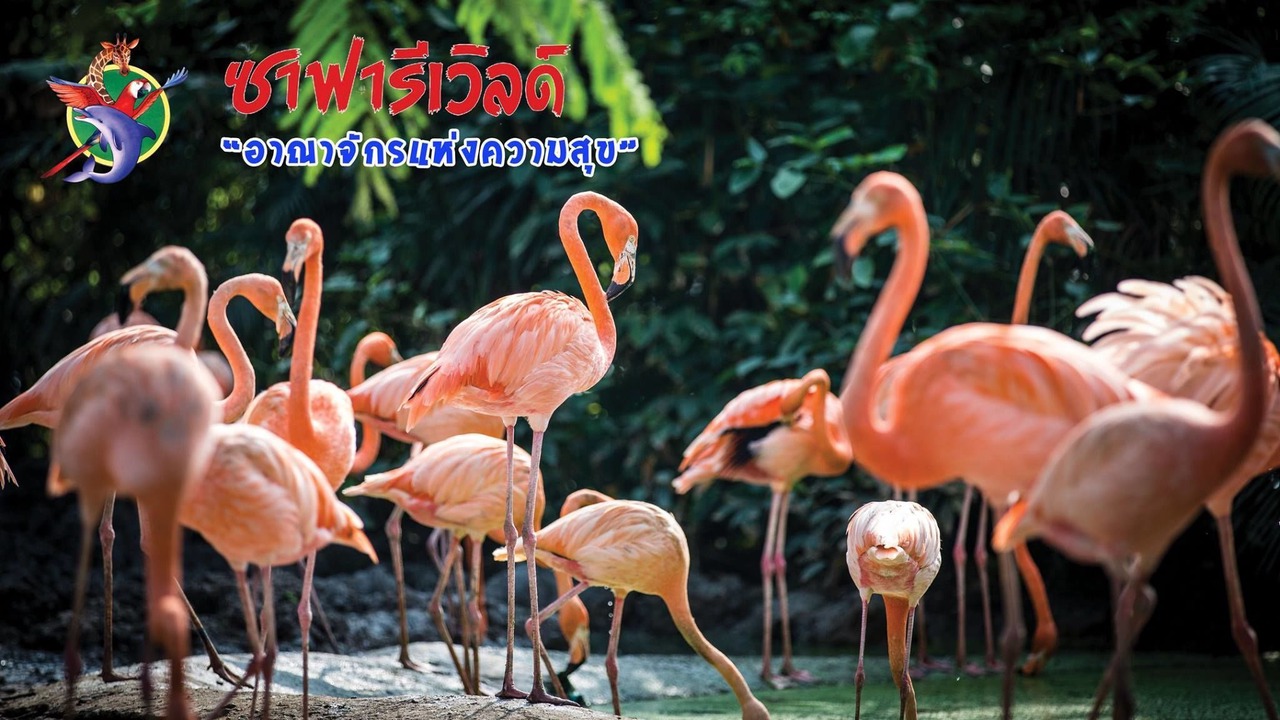 Photo of Others in Rangsit