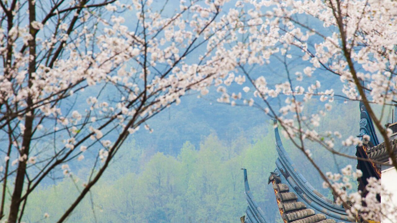 Photo of Outdoor in Yuecheng