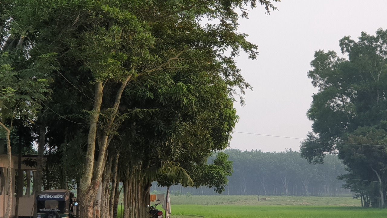 Photo of Outdoor in Sreemangal Upazila