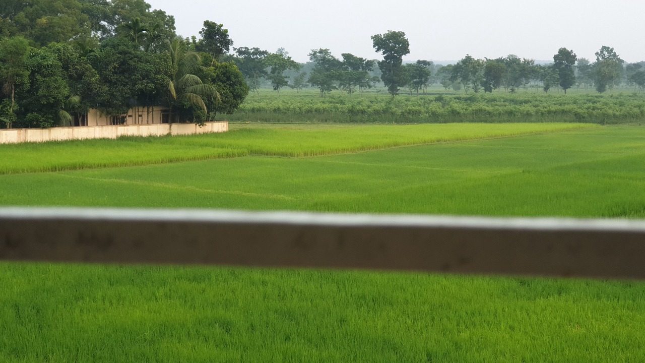 Photo of Outdoor in Sreemangal Upazila