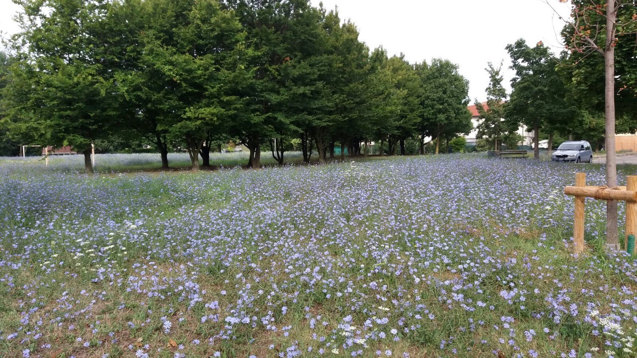Photo of Outdoor in Padova