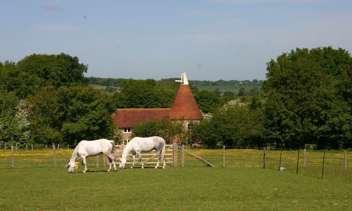Photo of Outdoor in Wadhurst
