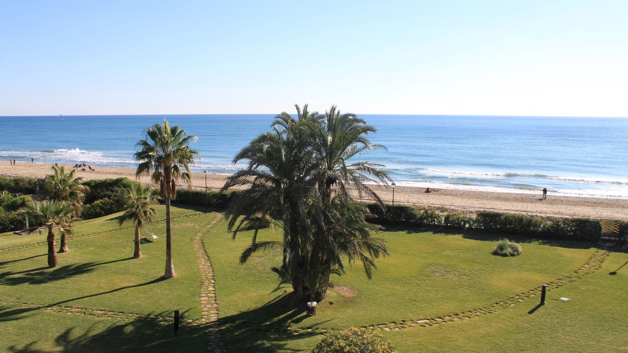 Photo of Others in Gava