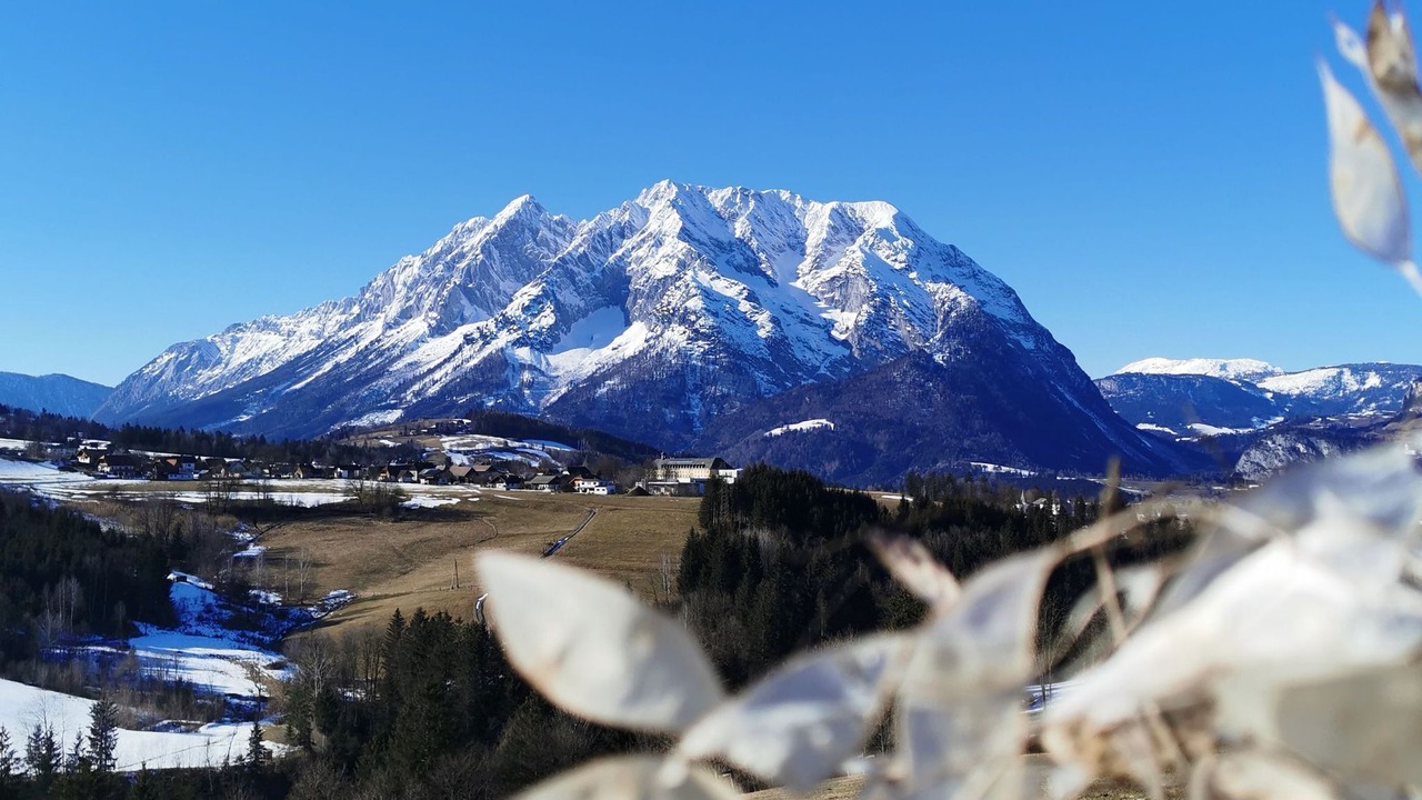 Photo of Outdoor in Donnersbach
