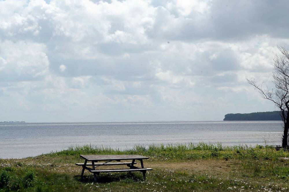 Photo of Others in Bjert