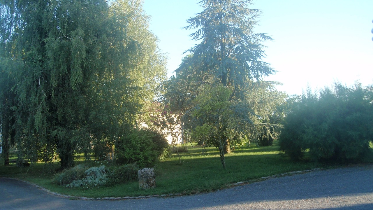 Photo of Others in Nerigean