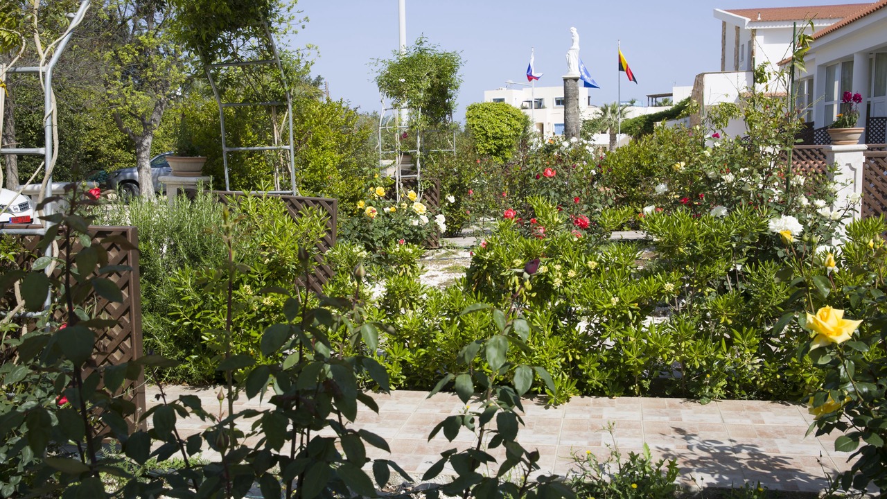 Photo of Outdoor in Latchi
