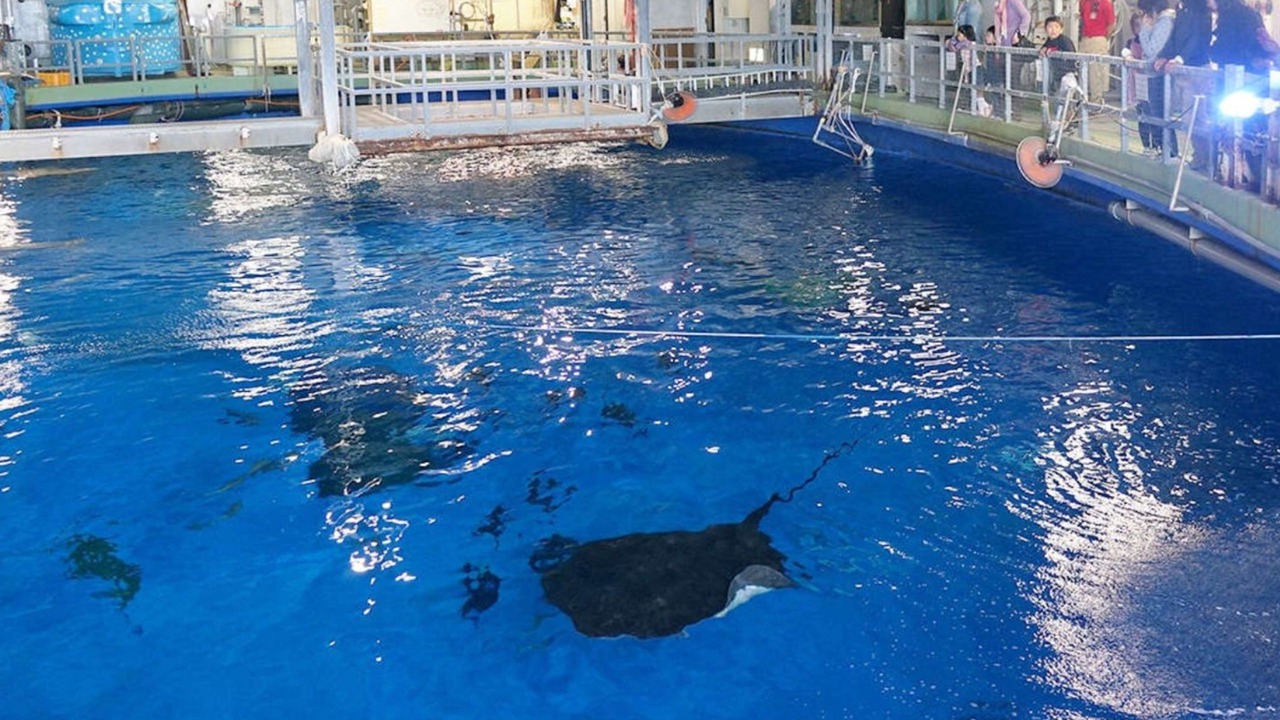 Photo of Others in Funadu-cho