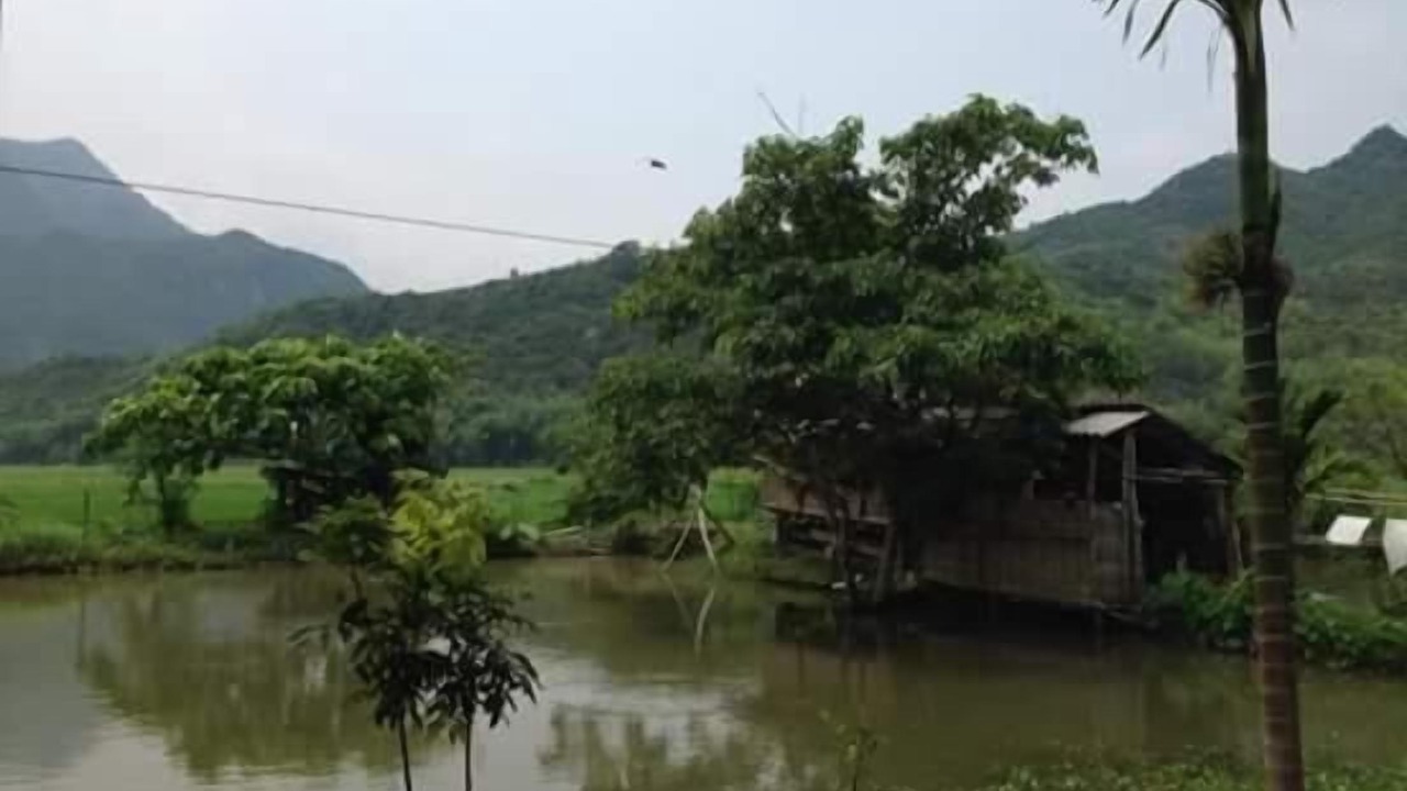 Photo of Outdoor in Lac Village