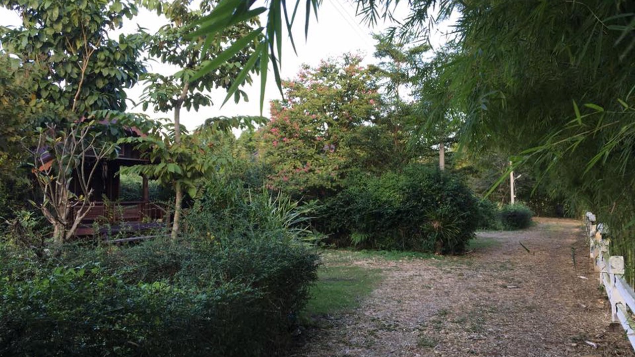Photo of Outdoor in Ban Na