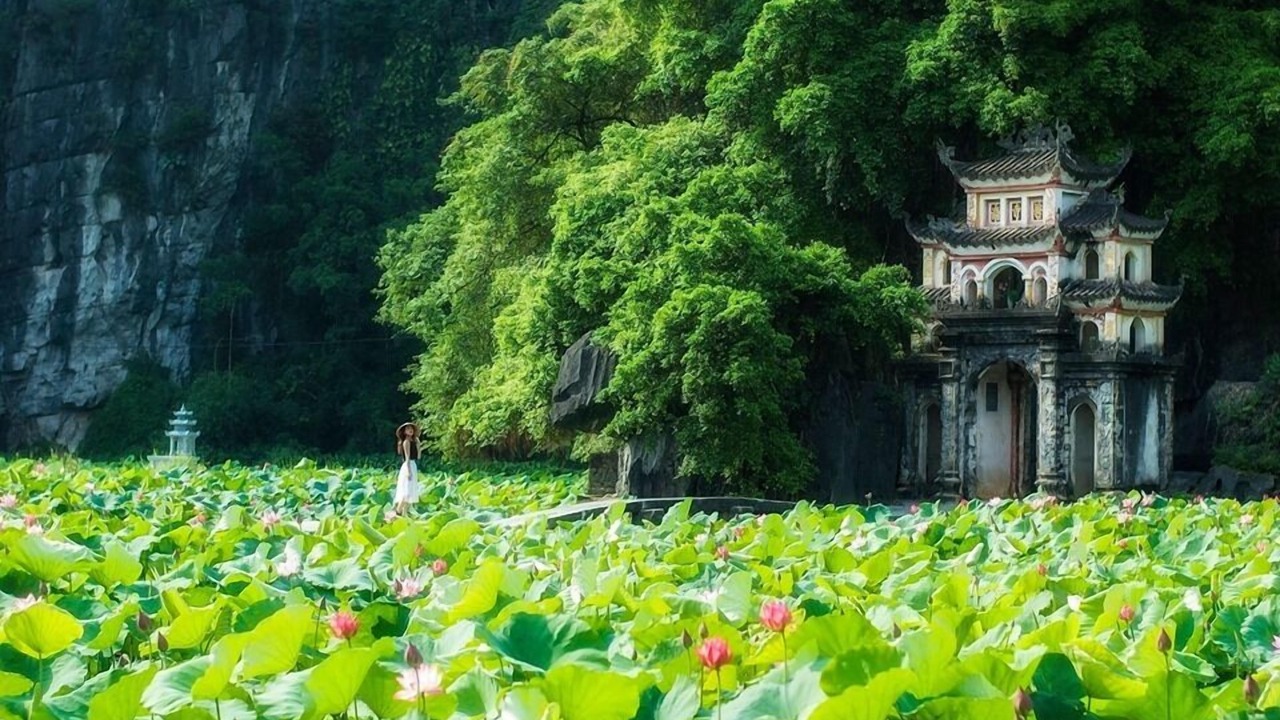 Photo of Others in Hoa Lu
