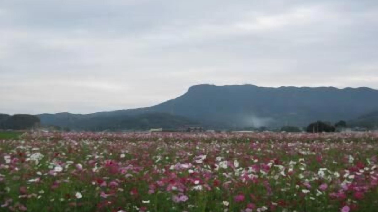 Photo of Outdoor in Nakatsu
