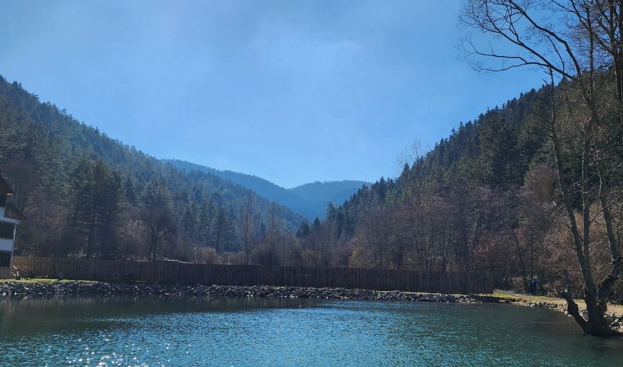 Photo of Outdoor in Dereceoren