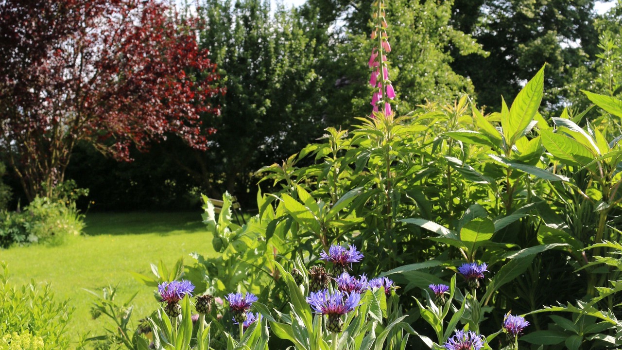 Photo of Outdoor in La Chapelle-Montligeon