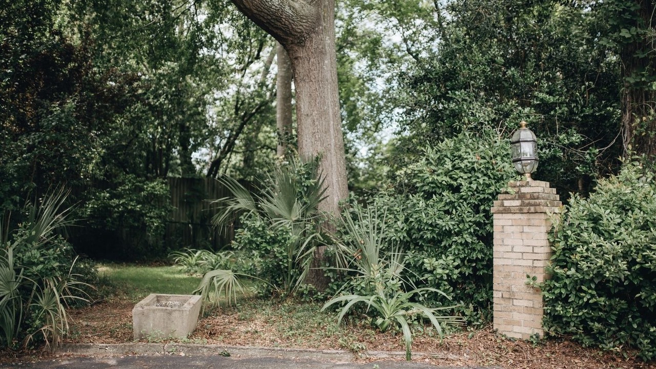 Photo of Outdoor in Sumter