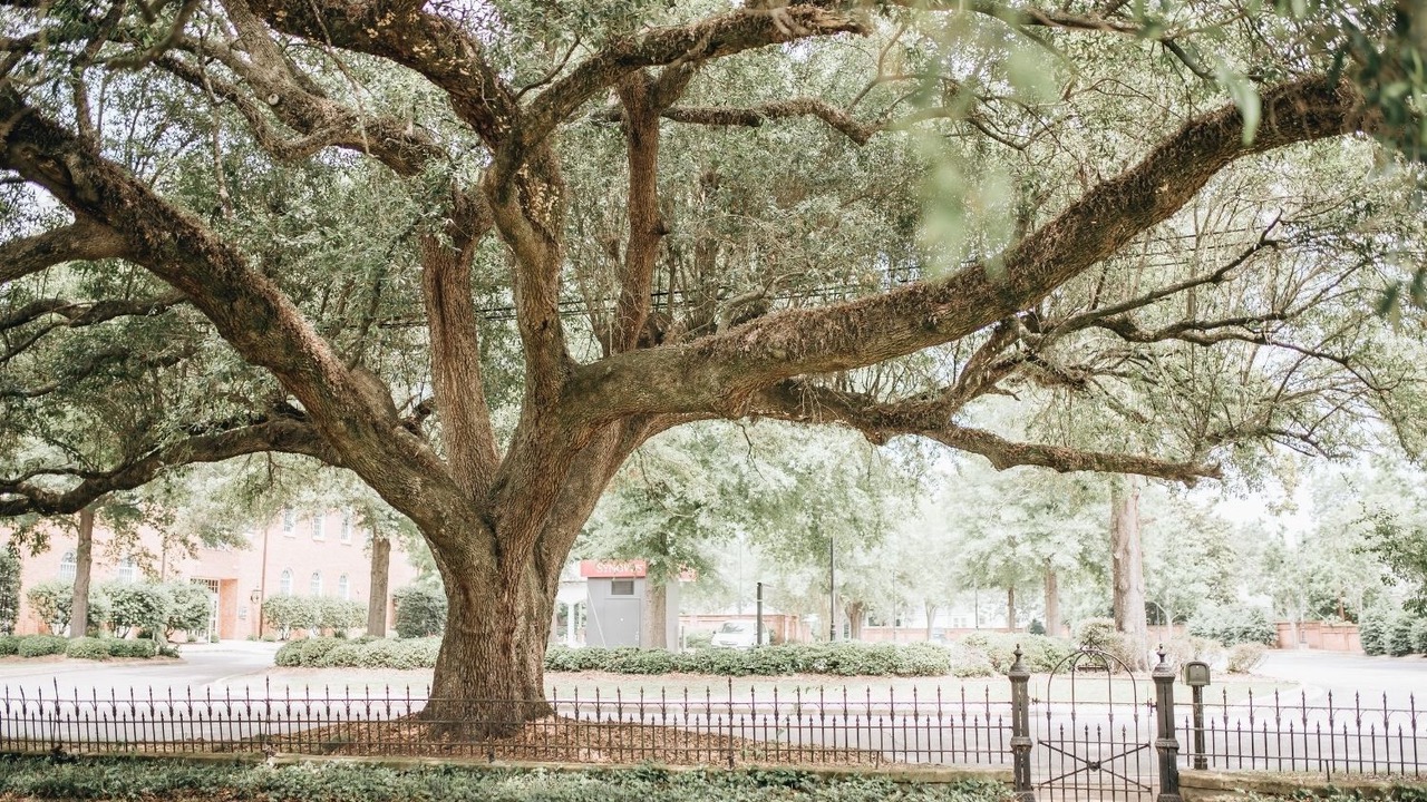 Photo of Outdoor in Sumter