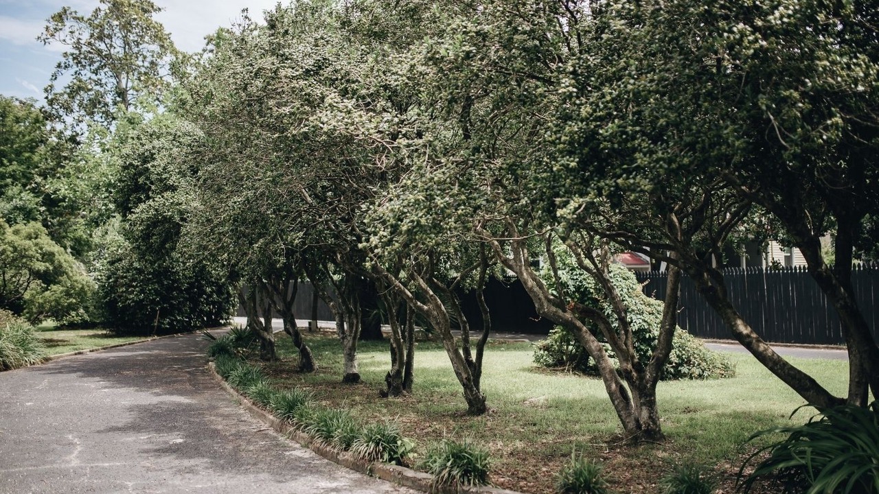 Photo of Outdoor in Sumter