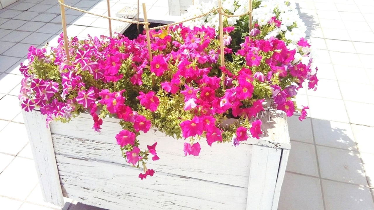 Photo of Patio Balcony in Tarrega