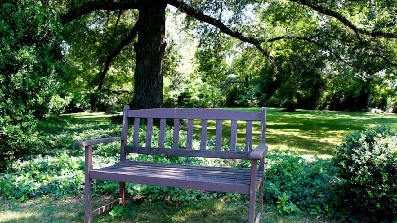 Photo of Outdoor in Appomattox