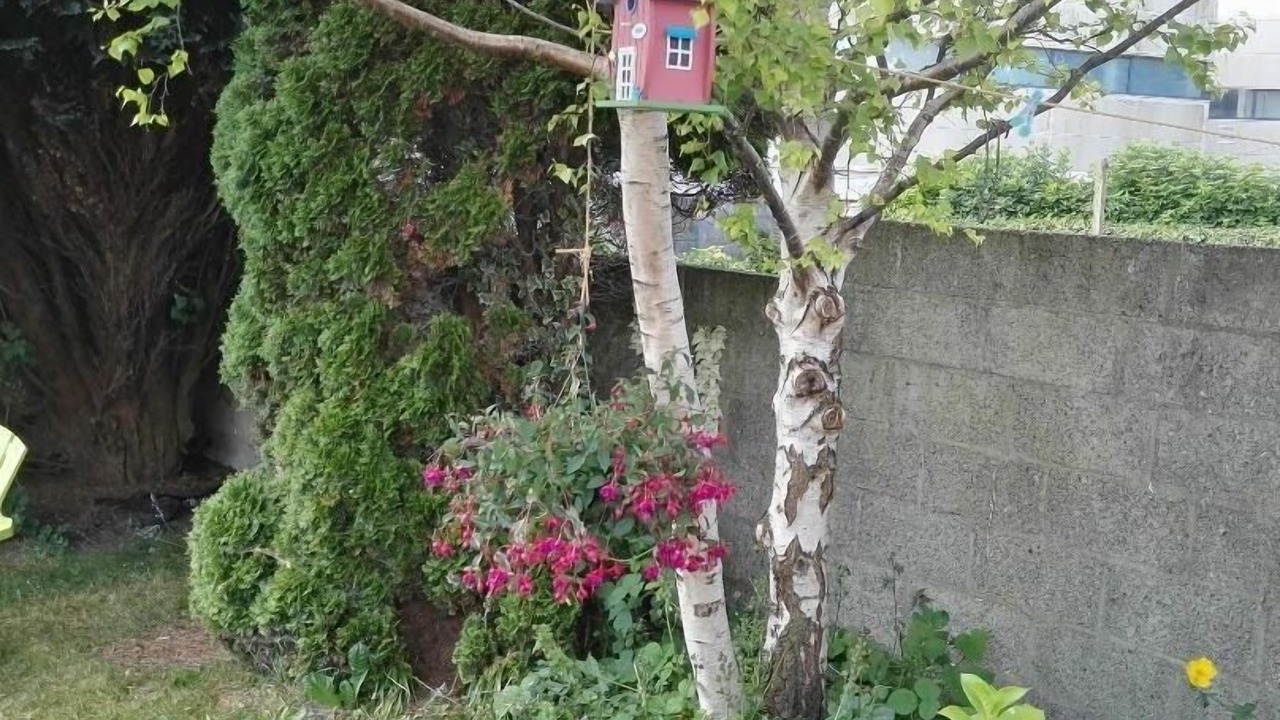 Photo of Outdoor in Waterford