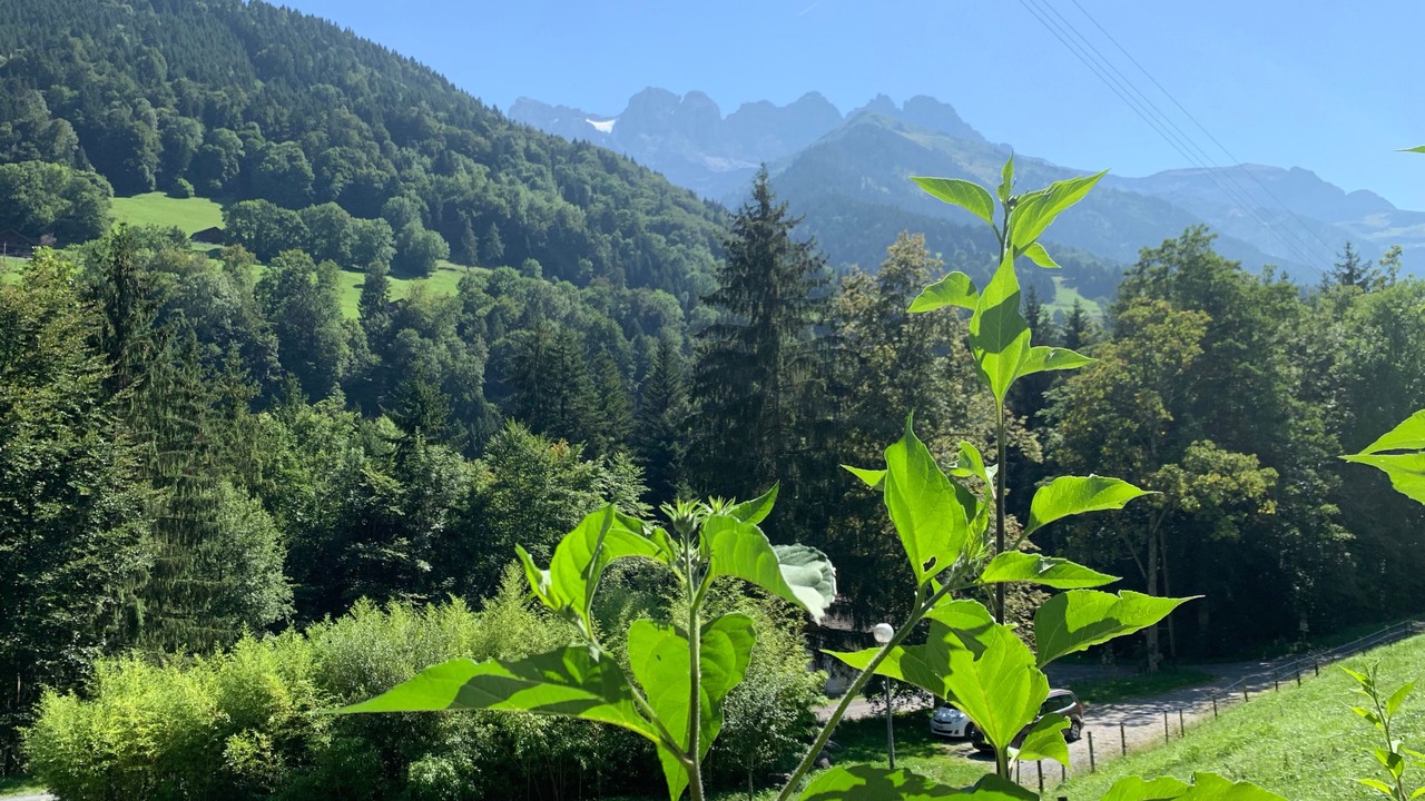 Photo of Outdoor in Val d'Illiez