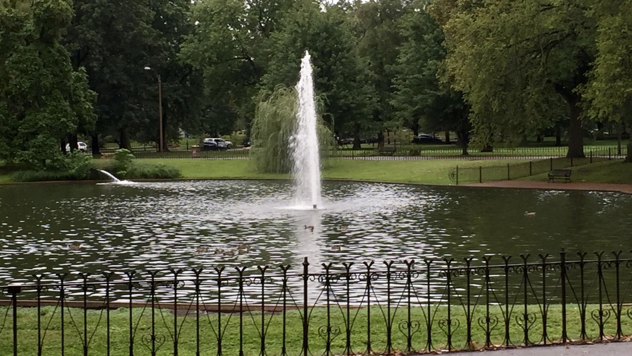 Photo of Outdoor in Lafayette Square
